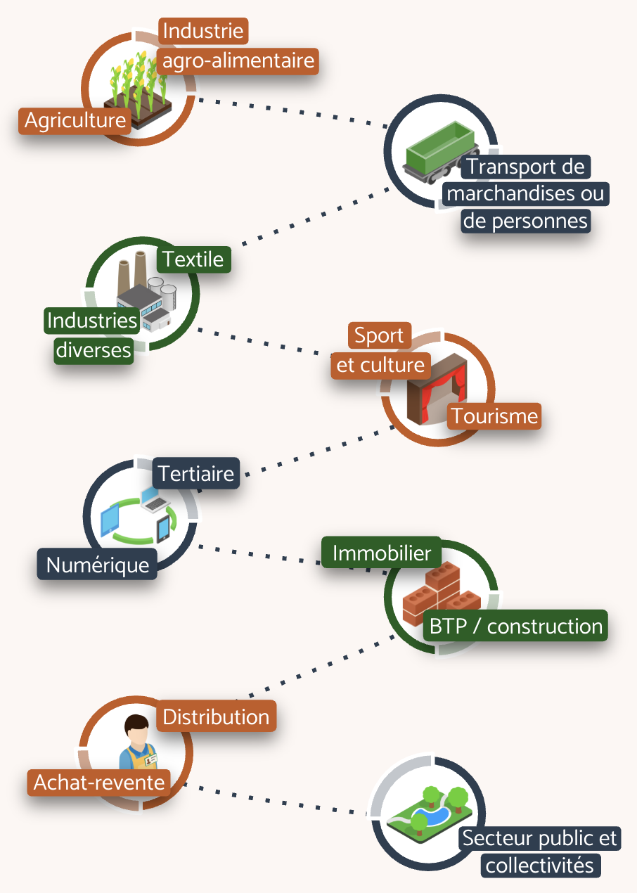 Secteurs d'activité accompagnés Industrie, agro-alimentaire, agriculture, transport de marchandises ou de personnes, textile, sport, culture, tourisme, tertiaire, numérique, immobilier, BTP et construction, distribution, achat-revente, secteur public, communes, collectivités territoriales